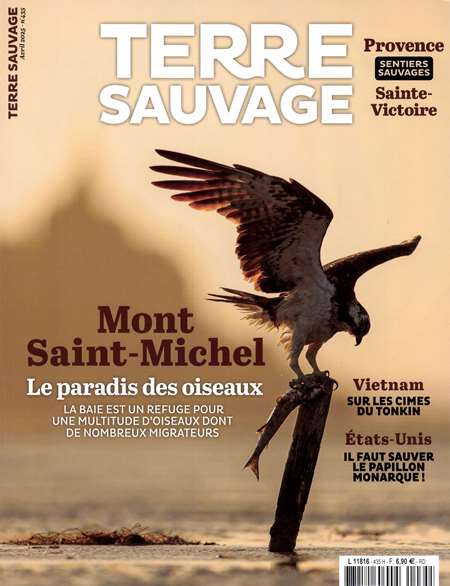 Abonement TERRE SAUVAGE + HS - TERRE SAUVAGE + HS -50% pendant 6 mois sans engagement