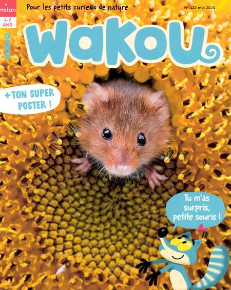 Abonement WAKOU + HS - De 4 a 7 ans. Wakou, c'est l'ecole de la nature ! Textes et photos sensibles permettent au jeune lecteur de s'identifier a ces heros que sont les animaux. Et de les connaitre pour les aimer et avoir envie de les proteger. WAKOU + HS (...)