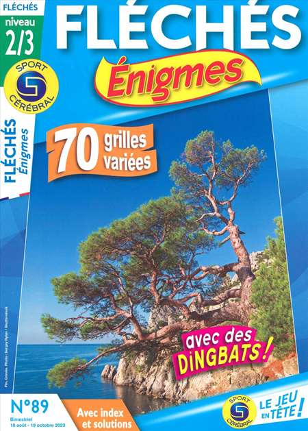 FLECHES ENIGMES