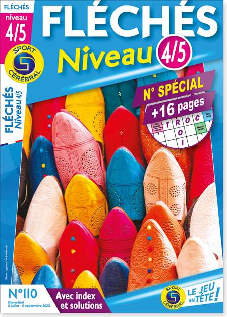 FLECHES NIVEAU 4 5